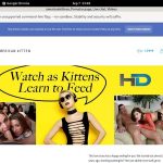 Americankitten.com Join By Check