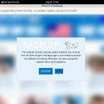 Bad Puppy Passwords Blog