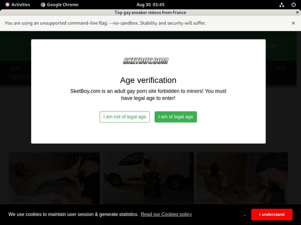 Boy Sket Free Passwords