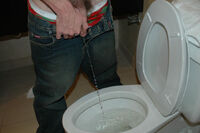 Boys-pissing.com With JCB Card s2