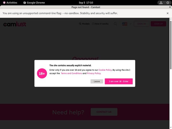 Camlust.com Fresh Passwords