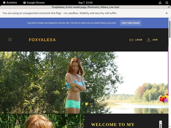 FoxyAleksa Coupon Discount