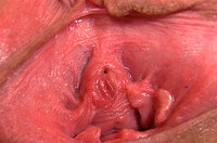 Gape My Pussy Login Generator s0 Gape My Pussy Login Generator s0