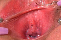Gapemypussy User And Pass s4