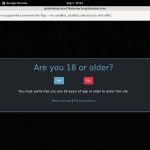 Girls In Steel Pictures