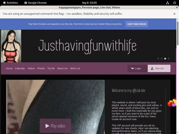 Happygoluckypyro Archive