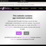 Hd Silversluts Free