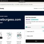 Janeburgess.com Guys
