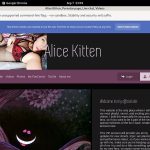 Kitten Alice Account