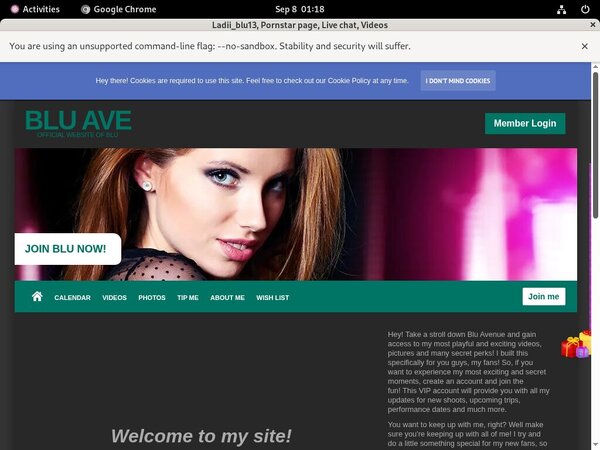 Ladiiblu13.modelcentro.com Member Discount