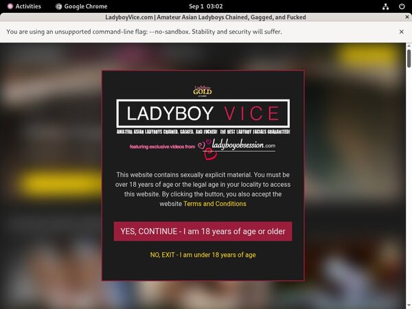 Ladyboy Vice Password Accounts Ladyboy Vice Password Accounts