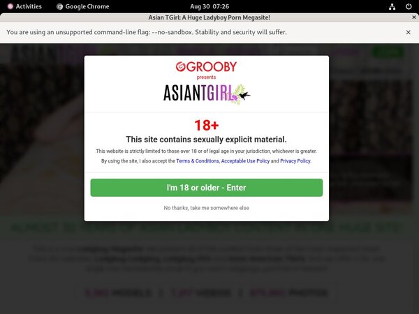 Ladyboyladyboy Free Tour