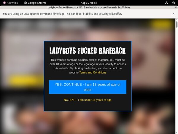 Ladyboys Fucked Bareback Gallaries
