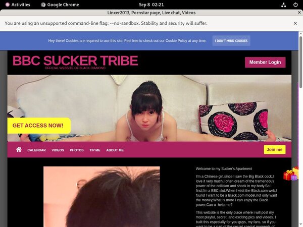 Linxer2013.modelcentro.com Full Episode