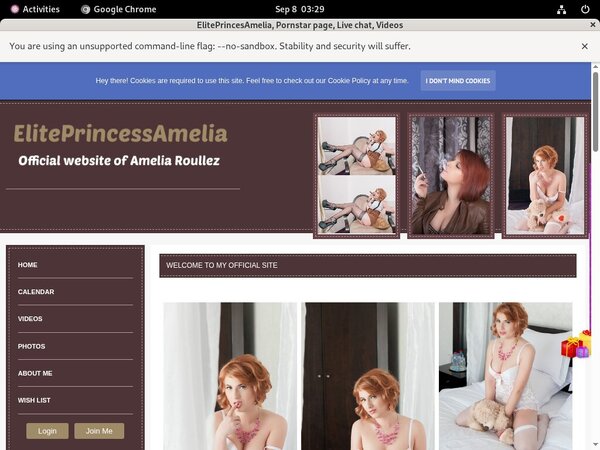Logins For ElitePrincesAmelia