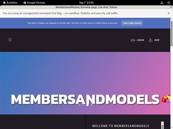 MembersandModels Password Site