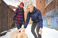 Membership To Beddable Boys s3