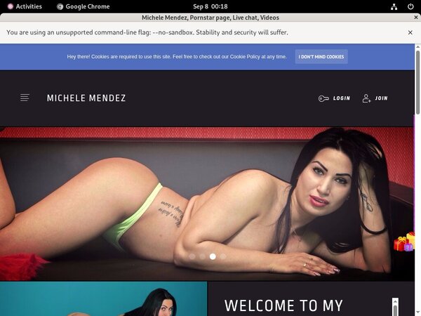 Michelemendez.modelcentro.com Paypal Purchase