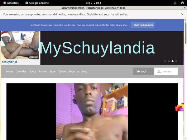 Myschuylandia.com Cheap Deal