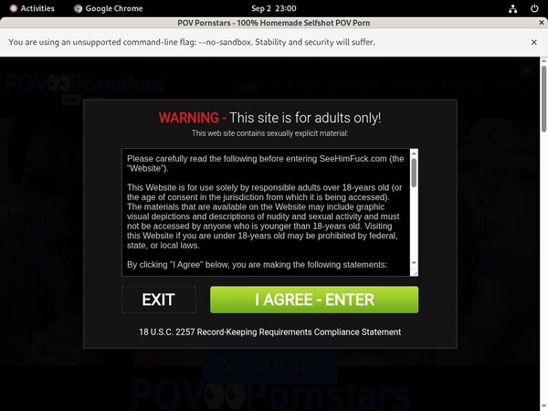 Povpornstars Login Generator