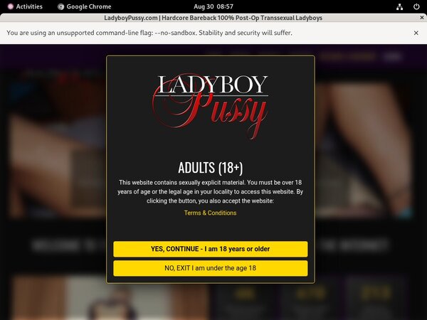 Pussy Ladyboy Free Passwords
