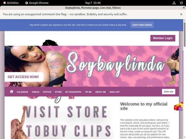 Soykaylinda Passwords 2016