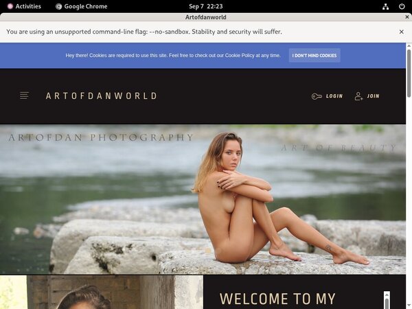Special Artofdan Discount
