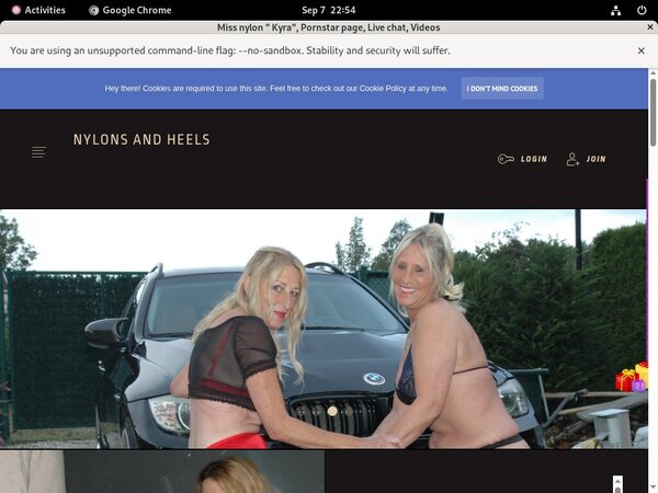 [Image: Stockingsandhighheelscom-Order-Form.jpg]