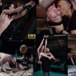 Subspaceland Member Trial