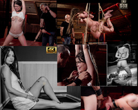 Subspaceland.com Login Free s3 Subspaceland.com Login Free s3