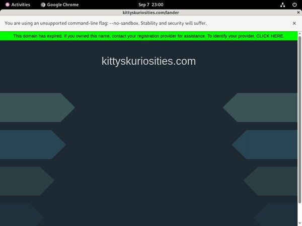 Watch Kitty's Kuriosities Watch Kitty's Kuriosities