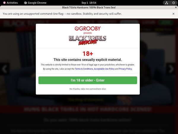 What Is Blacktgirlshardcore.com What Is Blacktgirlshardcore.com