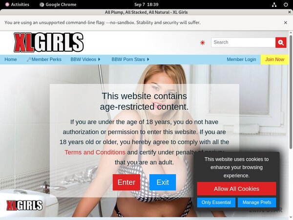 Xlgirls Hd Videos