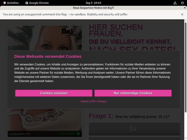 YourSecretDream Account Information