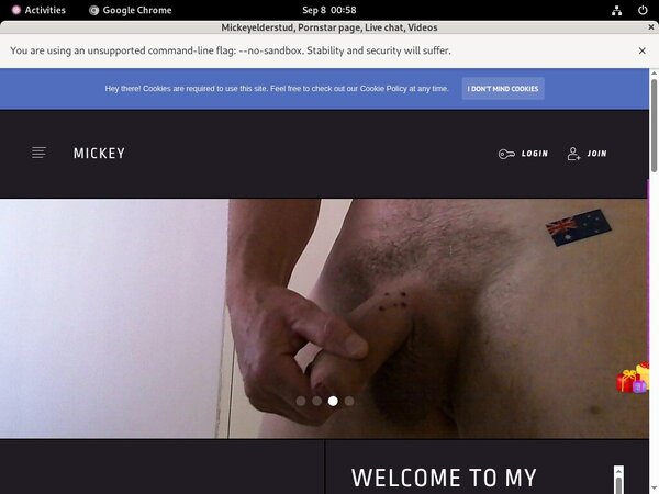 Mickeyelderstud.modelcentro.com Site Rip Url