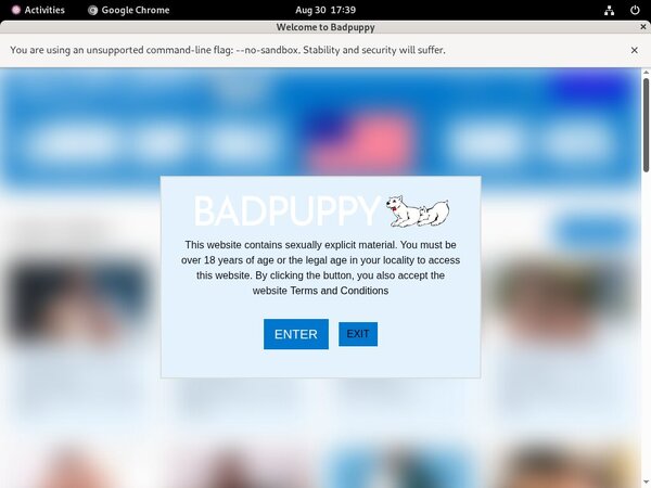 Bad Puppy Member Account
