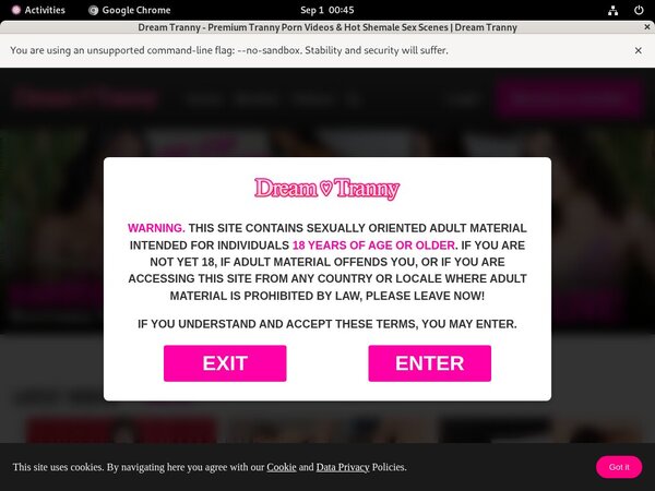 Discount Dreamtranny.com Tour