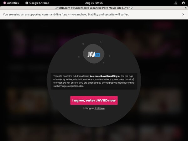 Javhd.com Gay Porn